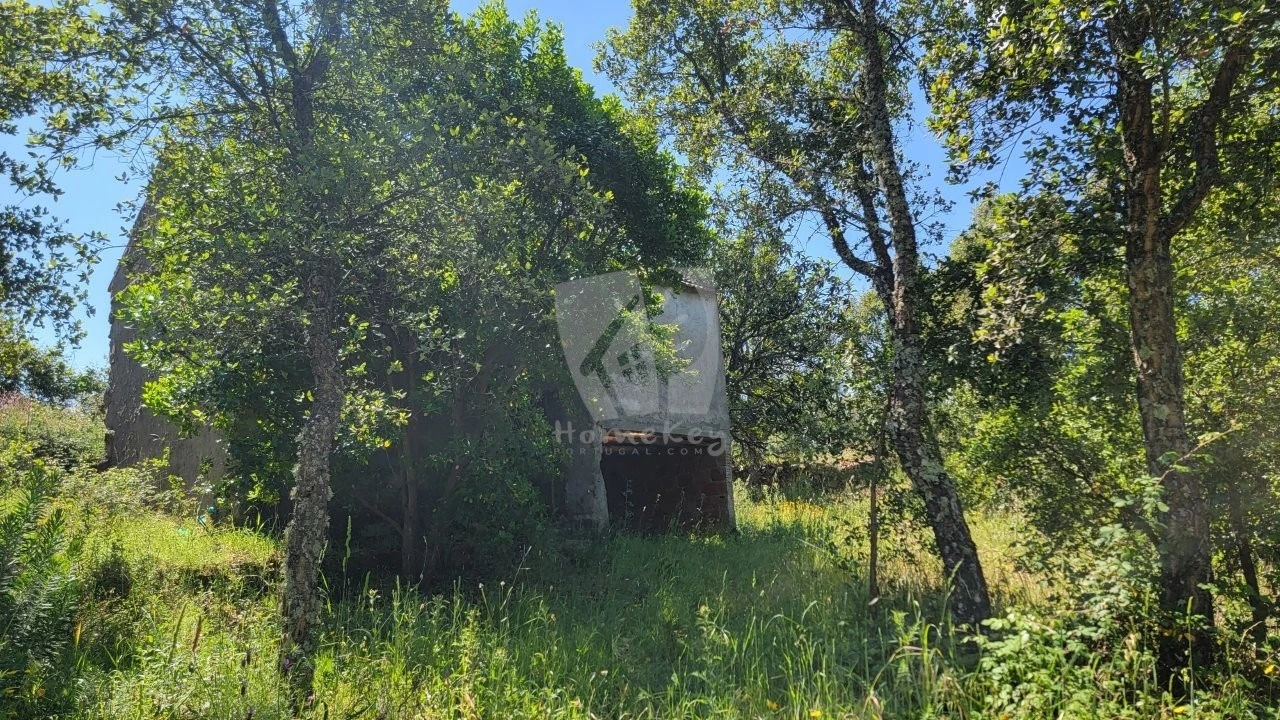 Terreno Agricola ou Rústico para Venda em Sobreira Formosa e Alvito da Beira Foto 13