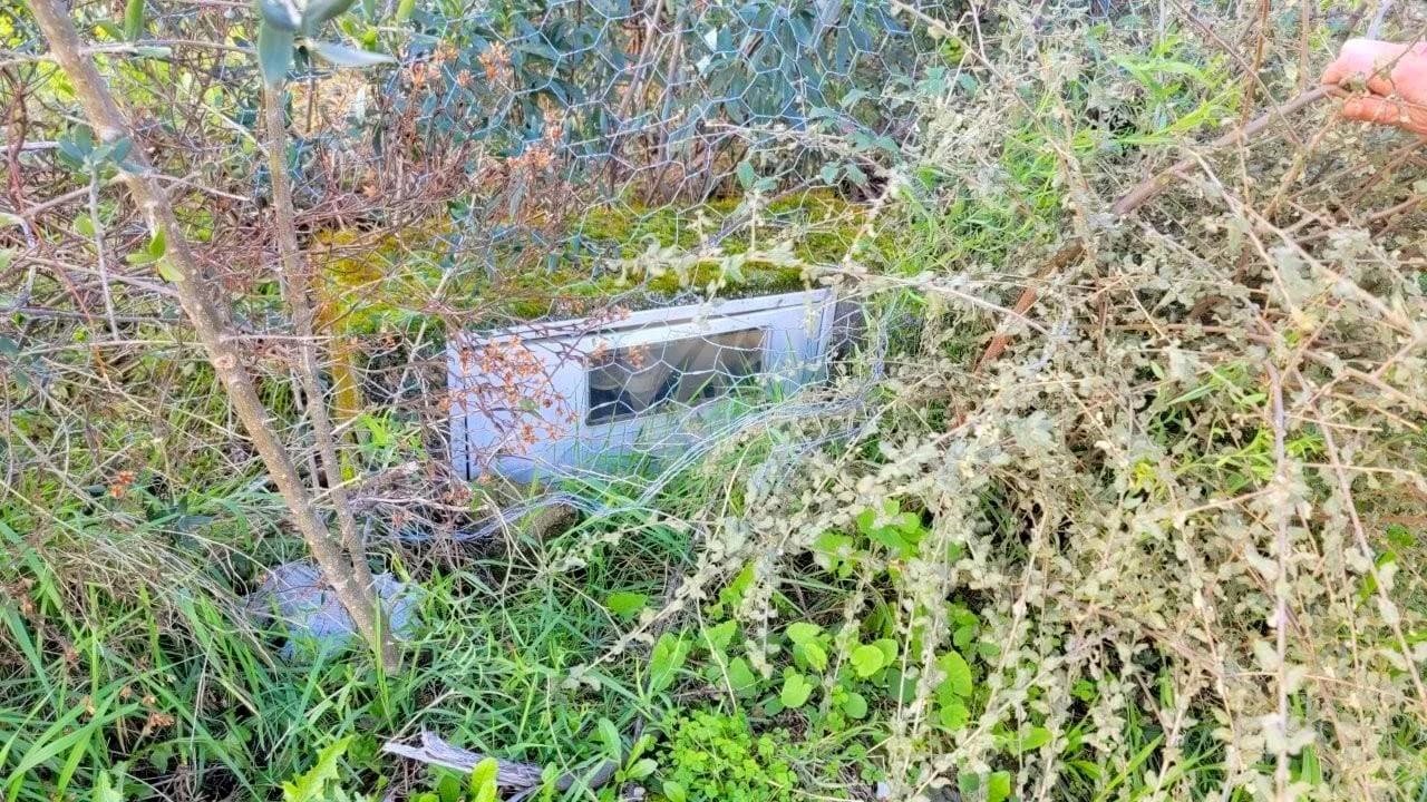 Terreno Agricola ou Rústico para Venda em Sobreira Formosa e Alvito da Beira Foto 28