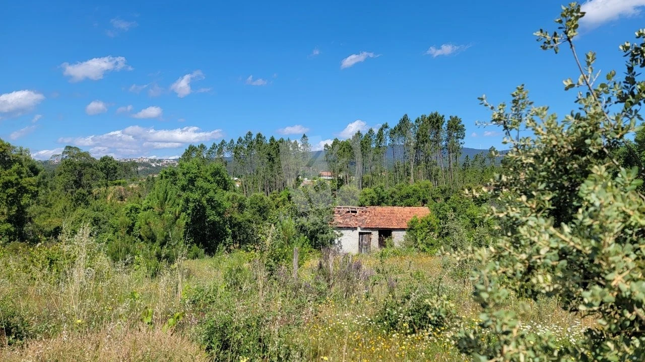 Terreno Agricola ou Rústico para Venda em Sobreira Formosa e Alvito da Beira Foto 30