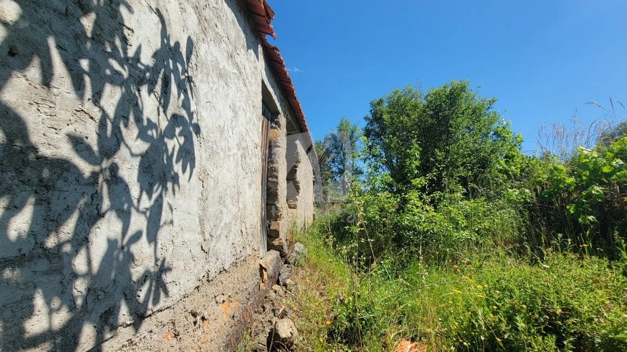 Terreno Agricola ou Rústico para Venda em Sobreira Formosa e Alvito da Beira Foto 20