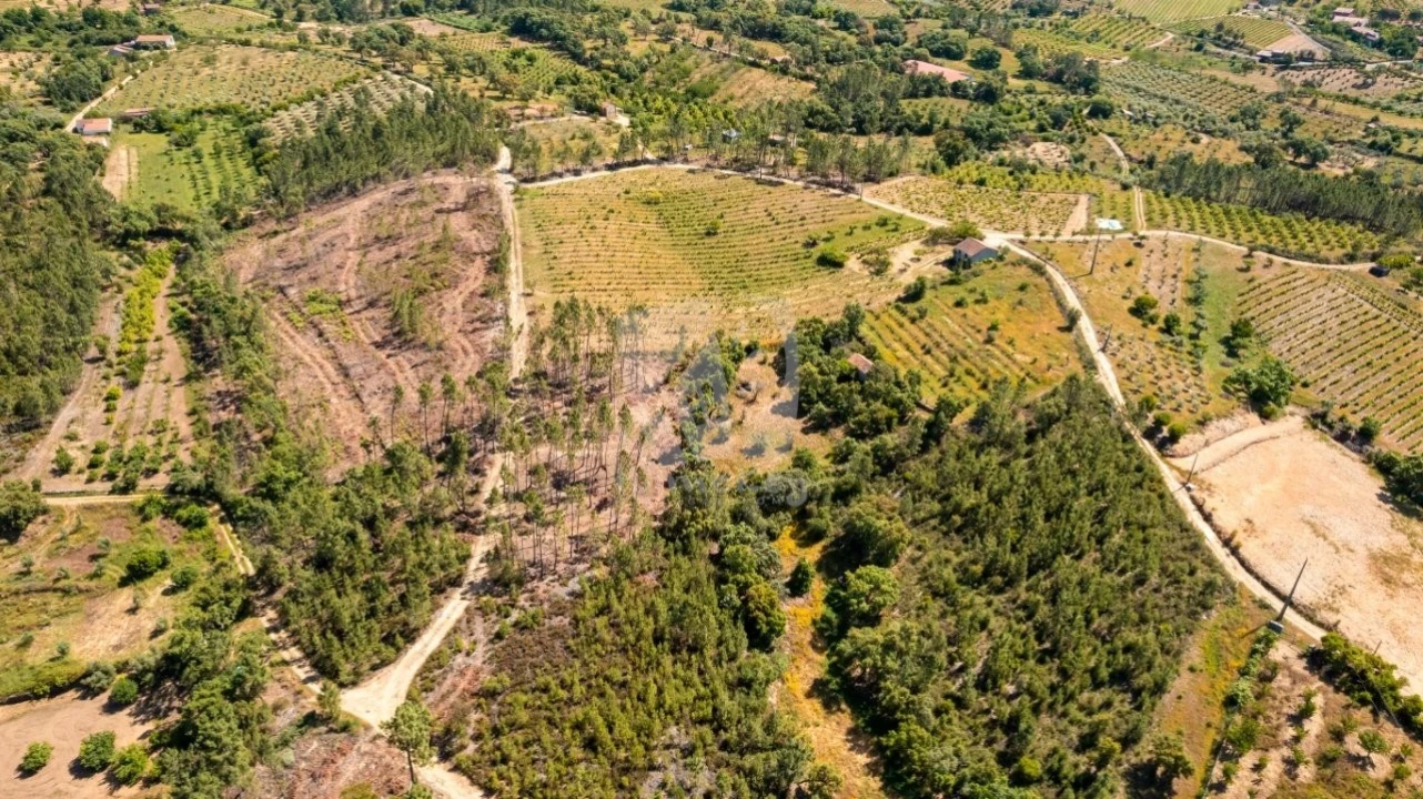 Terreno Agricola ou Rústico para Venda em Sobreira Formosa e Alvito da Beira Foto 36