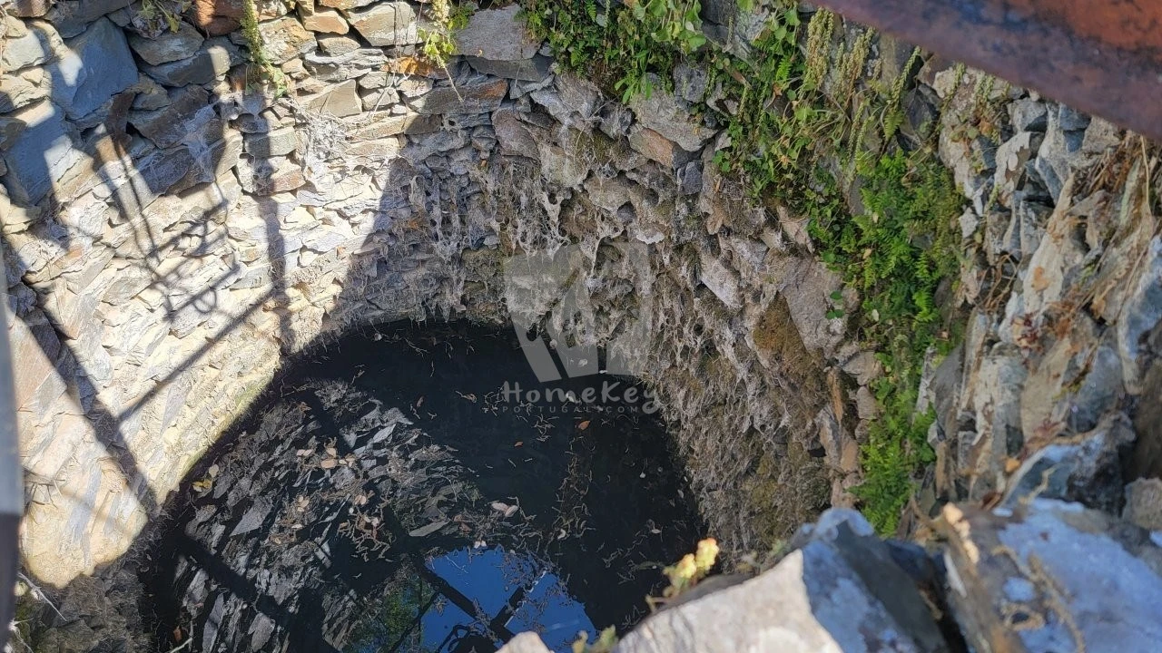 Terreno Agricola ou Rústico para Venda em Sobreira Formosa e Alvito da Beira Foto 9
