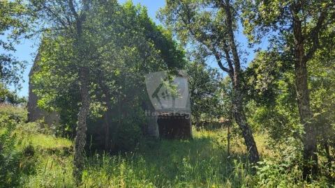 Terreno Agricola ou Rústico para Venda em Sobreira Formosa e Alvito da Beira