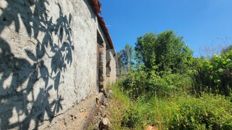 Terreno Agricola ou Rústico para Venda em Sobreira Formosa e Alvito da Beira