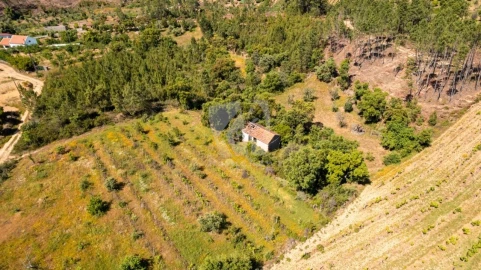 Terreno Agricola ou Rústico para Venda em Sobreira Formosa e Alvito da Beira