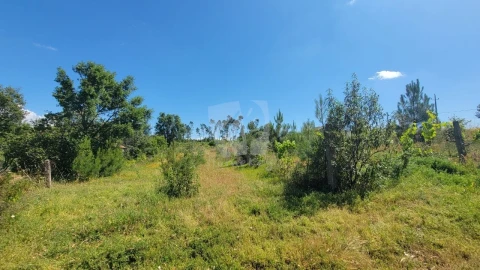 Terreno Agricola ou Rústico para Venda em Sobreira Formosa e Alvito da Beira