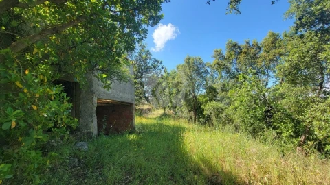 Terreno Agricola ou Rústico para Venda em Sobreira Formosa e Alvito da Beira