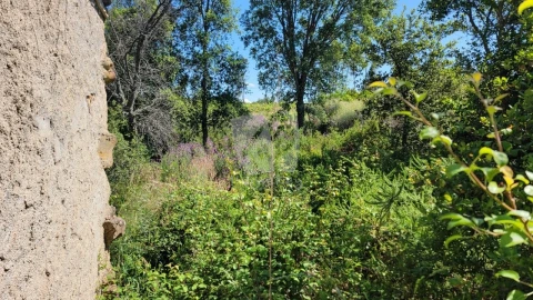 Terreno Agricola ou Rústico para Venda em Sobreira Formosa e Alvito da Beira