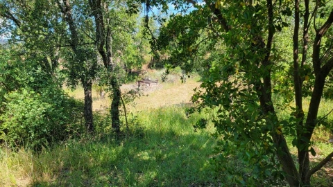 Terreno Agricola ou Rústico para Venda em Sobreira Formosa e Alvito da Beira