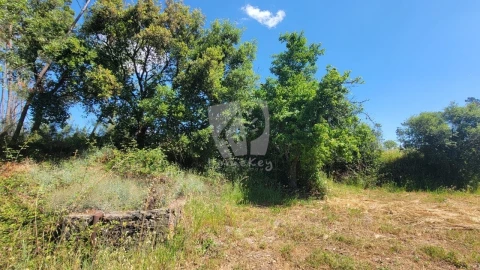 Terreno Agricola ou Rústico para Venda em Sobreira Formosa e Alvito da Beira