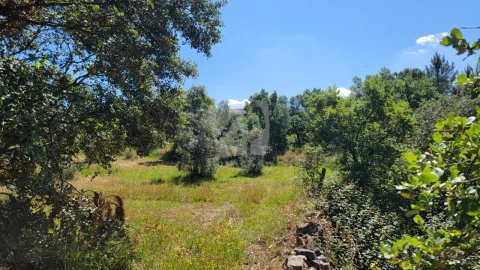 Terreno Agricola ou Rústico para Venda em Sobreira Formosa e Alvito da Beira