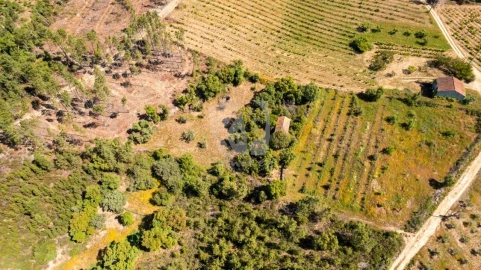 Terreno Agricola ou Rústico para Venda em Sobreira Formosa e Alvito da Beira