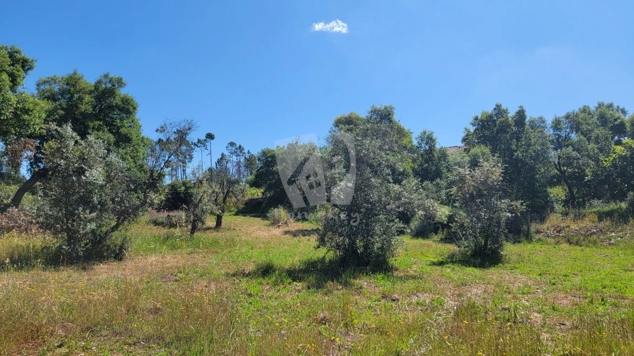 Terreno Agricola ou Rústico para Venda em Sobreira Formosa e Alvito da Beira Foto 4