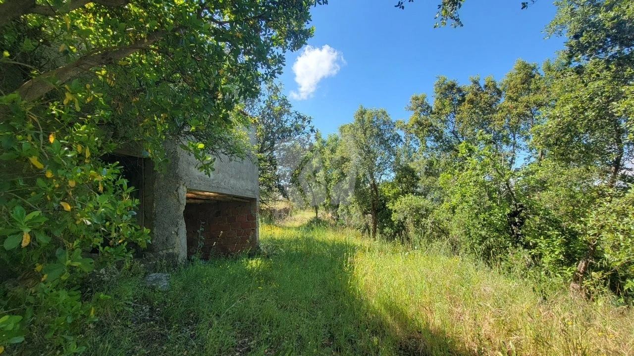 Terreno Agricola ou Rústico para Venda em Sobreira Formosa e Alvito da Beira Foto 15
