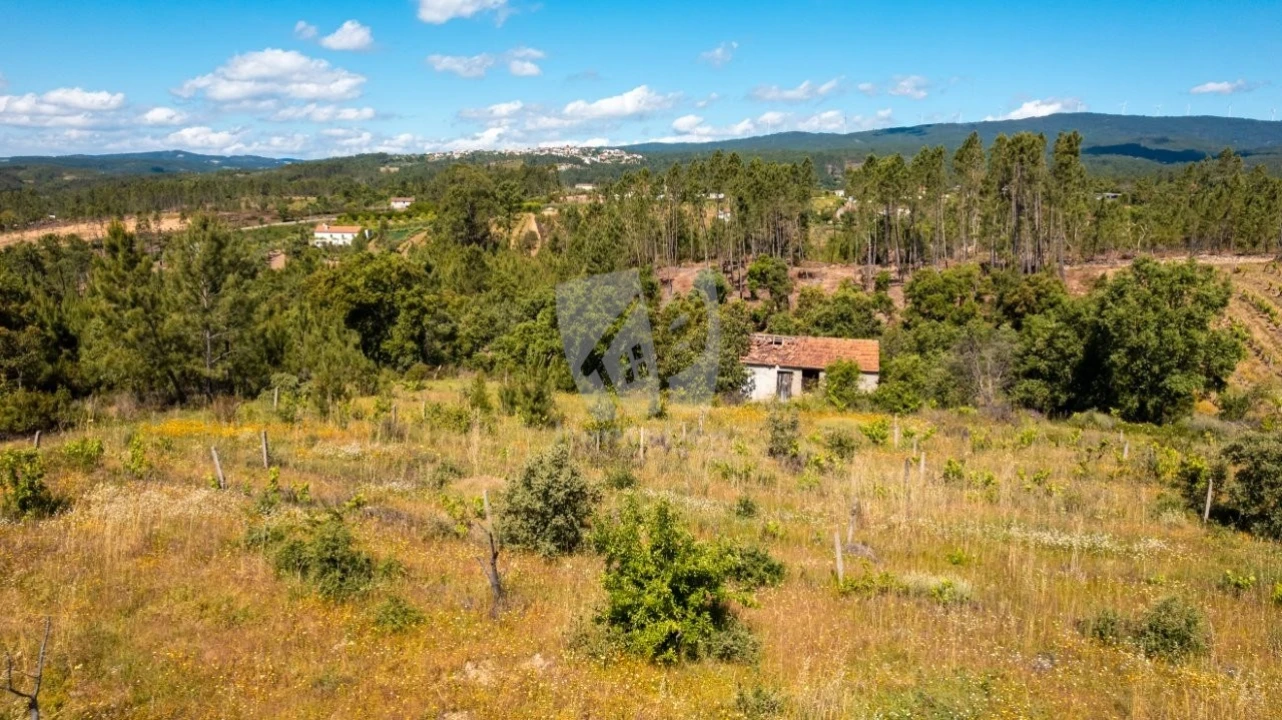 Terreno Agricola ou Rústico para Venda em Sobreira Formosa e Alvito da Beira Foto 39