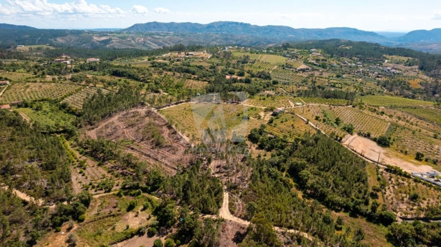 Terreno Agricola ou Rústico para Venda em Sobreira Formosa e Alvito da Beira Foto 35