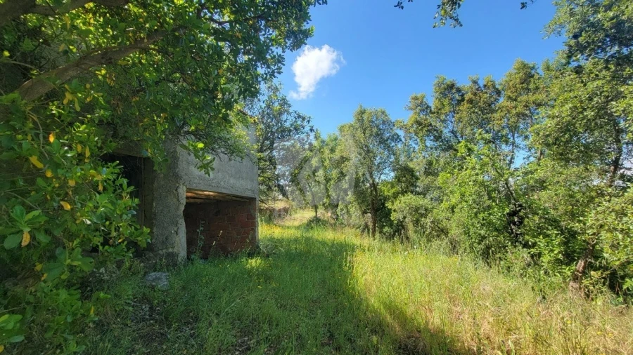 Terreno Agricola ou Rústico para Venda em Sobreira Formosa e Alvito da Beira Foto 15