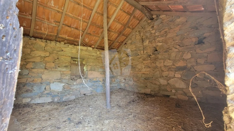 Terreno Agricola ou Rústico para Venda em Sobreira Formosa e Alvito da Beira Foto 21