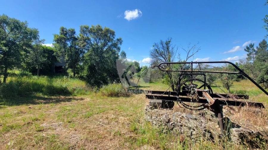 Terreno Agricola ou Rústico para Venda em Sobreira Formosa e Alvito da Beira Foto 10