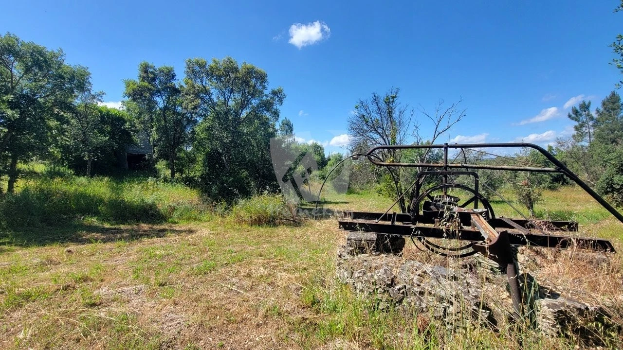 Terreno Agricola ou Rústico para Venda em Sobreira Formosa e Alvito da Beira Foto 10