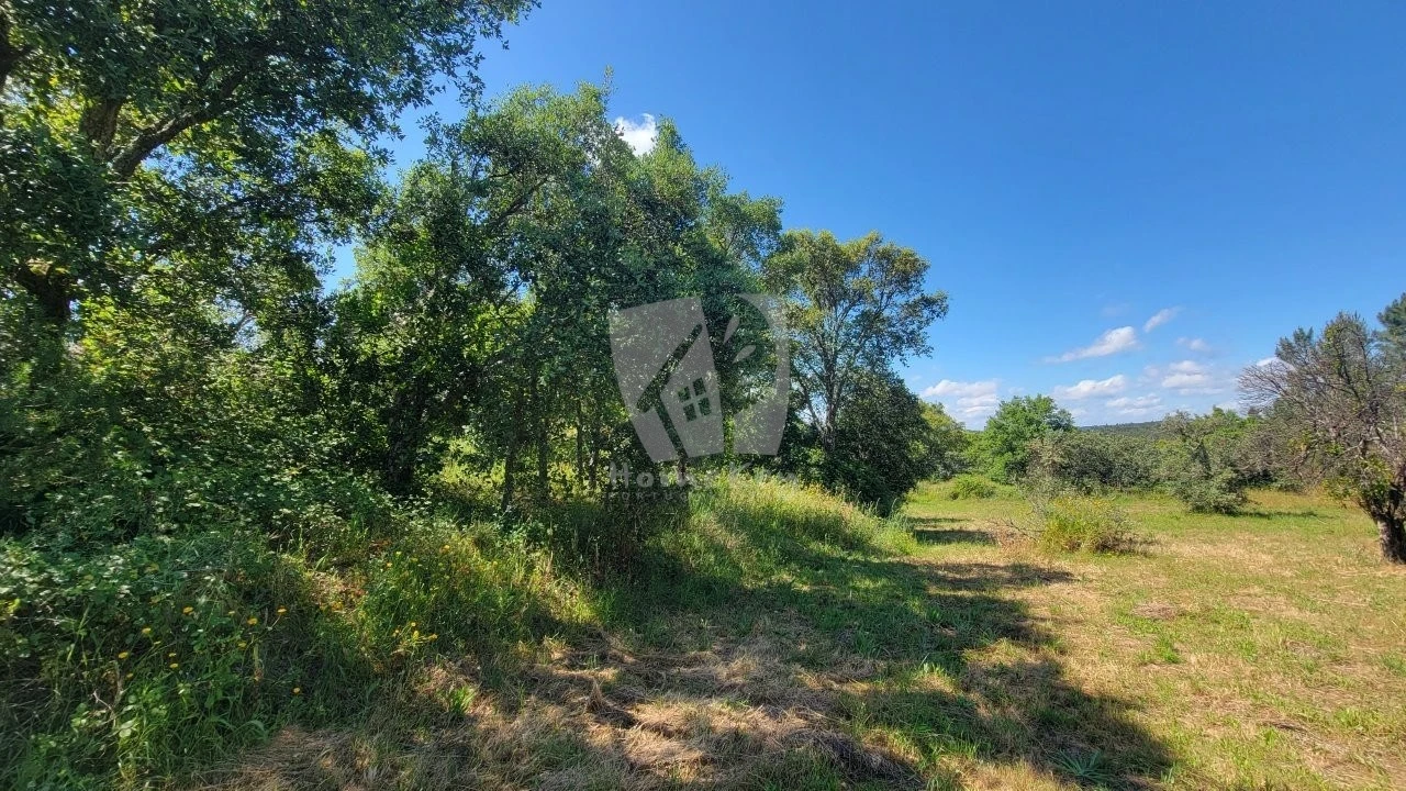 Terreno Agricola ou Rústico para Venda em Sobreira Formosa e Alvito da Beira Foto 11