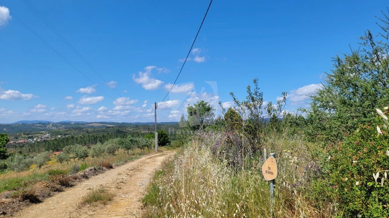 Terreno Agricola ou Rústico para Venda em Sobreira Formosa e Alvito da Beira Foto 27
