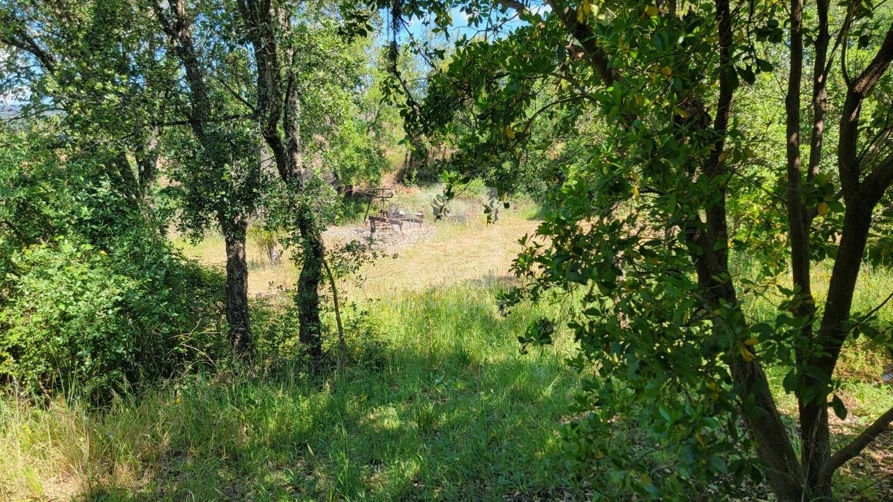 Terreno Agricola ou Rústico para Venda em Sobreira Formosa e Alvito da Beira Foto 18