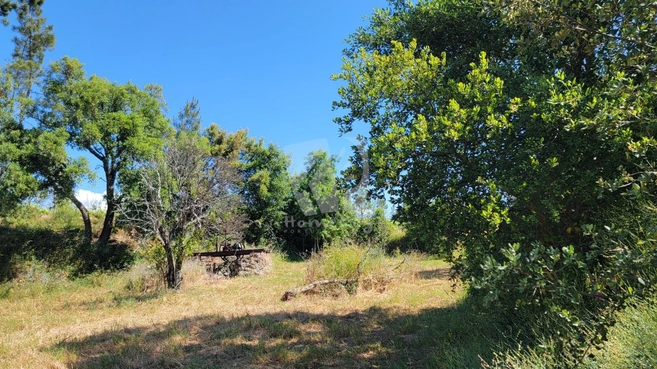 Terreno Agricola ou Rústico para Venda em Sobreira Formosa e Alvito da Beira Foto 6