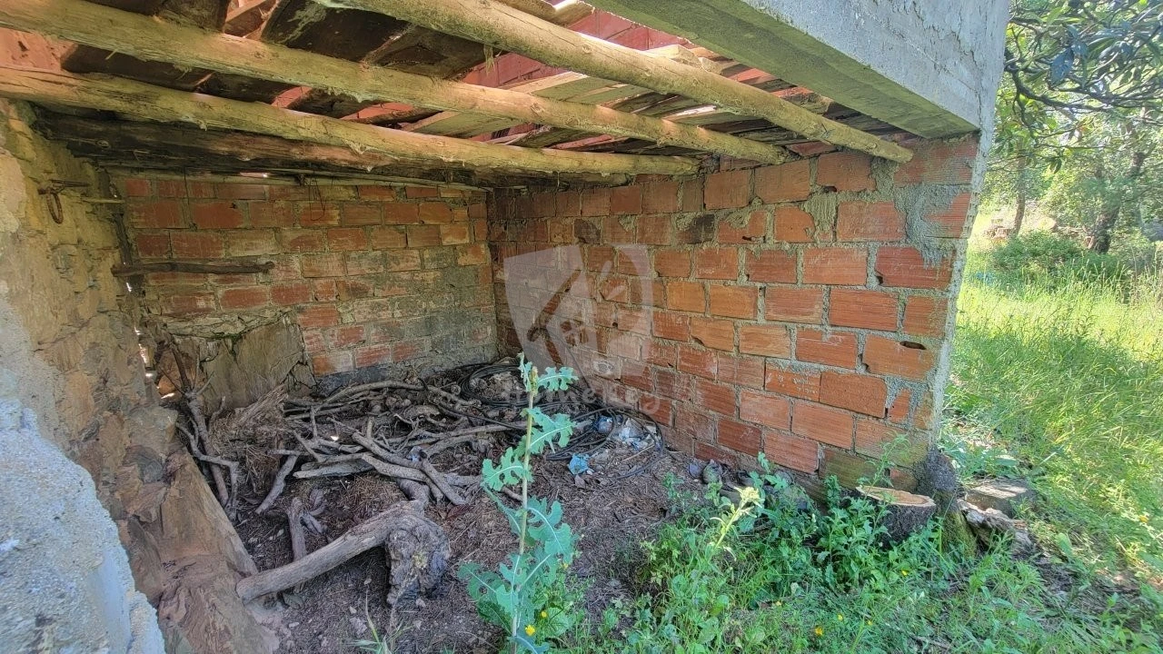 Terreno Agricola ou Rústico para Venda em Sobreira Formosa e Alvito da Beira Foto 17