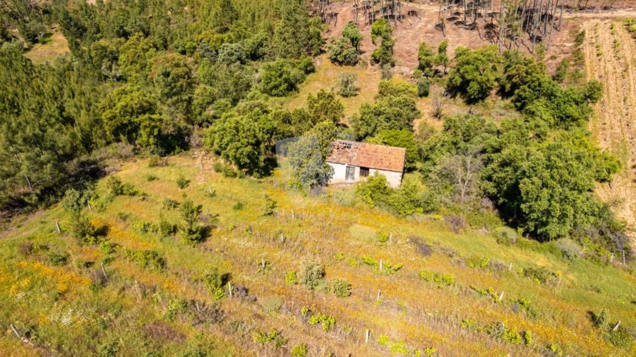 Terreno Agricola ou Rústico para Venda em Sobreira Formosa e Alvito da Beira Foto 38