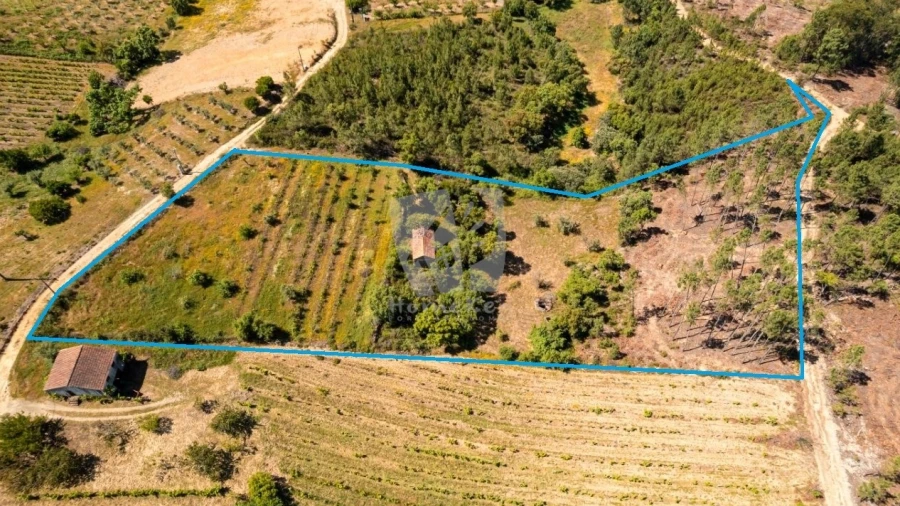 Terreno Agricola ou Rústico para Venda em Sobreira Formosa e Alvito da Beira