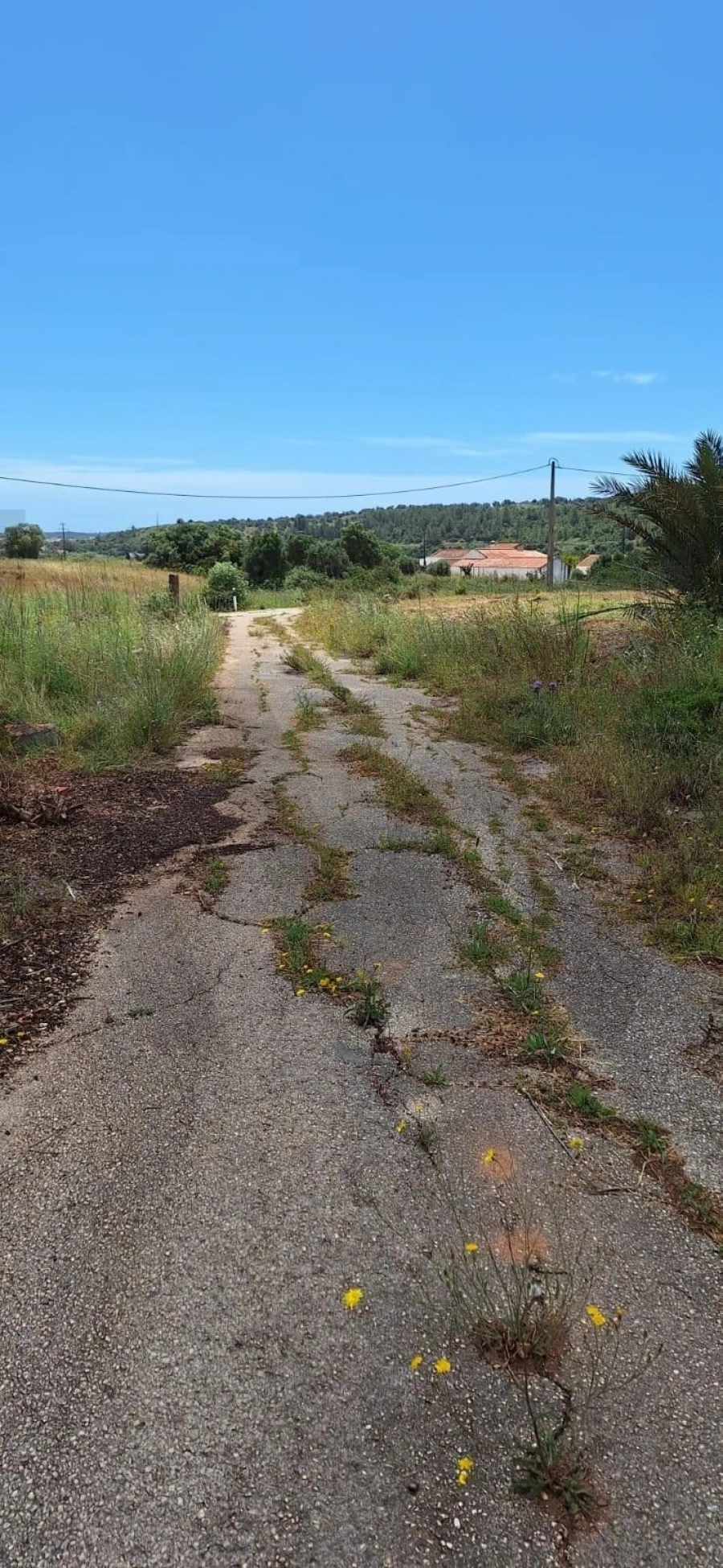 Moradia T6 para Venda em Odiaxere Foto 19