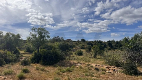 Quinta T3 para Venda em Estômbar e Parchal