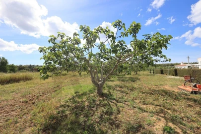 Moradia T6 para Venda em Luz