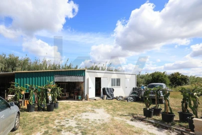 Moradia T6 para Venda em Luz