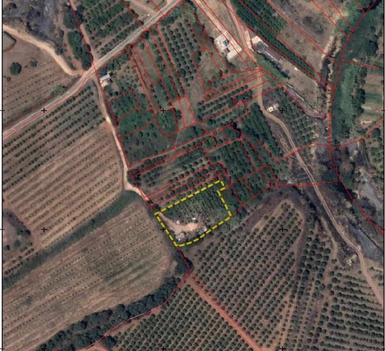 Terreno para Venda em Silves Foto 7