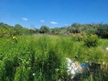 Terreno para Venda em Silves