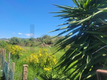 Terreno para Venda em Silves