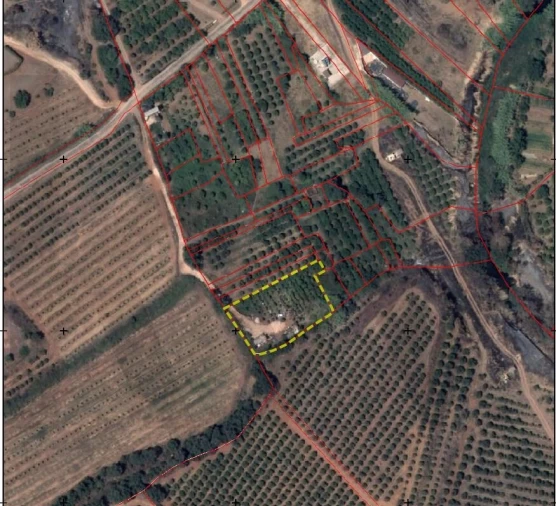 Terreno para Venda em Silves Foto 7