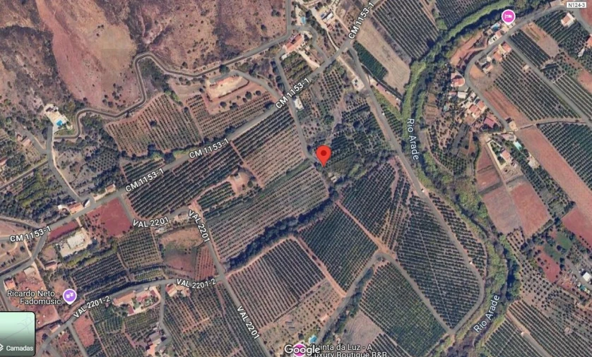Terreno para Venda em Silves Foto 8