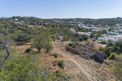Negócio para Venda em Loule (São Clemente)