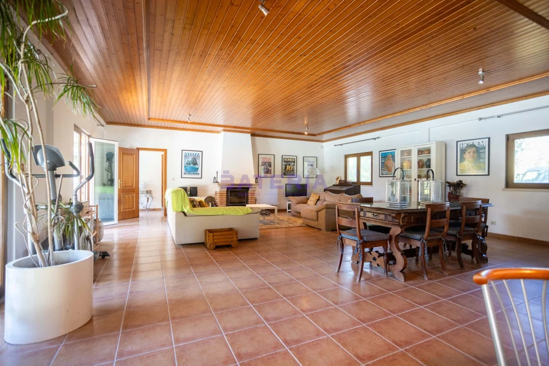 Quinta T8 para Venda em Santo Estêvão Foto 20