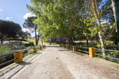 Quinta T8 para Venda em Santo Estêvão