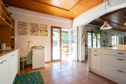 Quinta T8 para Venda em Santo Estêvão