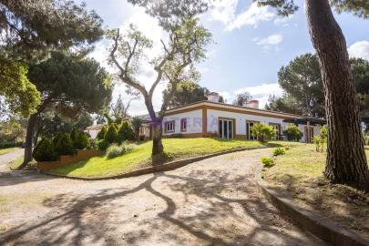 Quinta T8 para Venda em Santo Estêvão