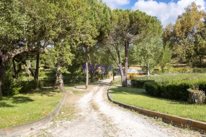 Quinta T8 para Venda em Santo Estêvão