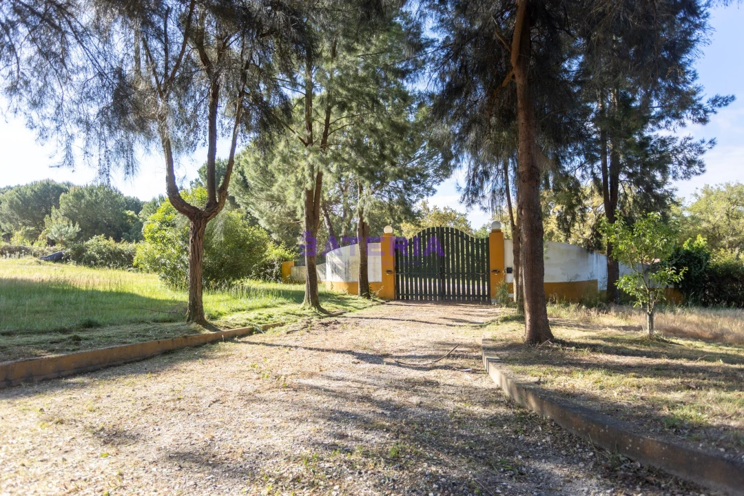 Quinta T8 para Venda em Santo Estêvão Foto 22