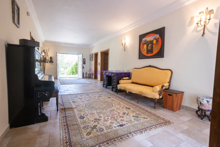 Quinta T8 para Venda em Santo Estêvão Foto 9