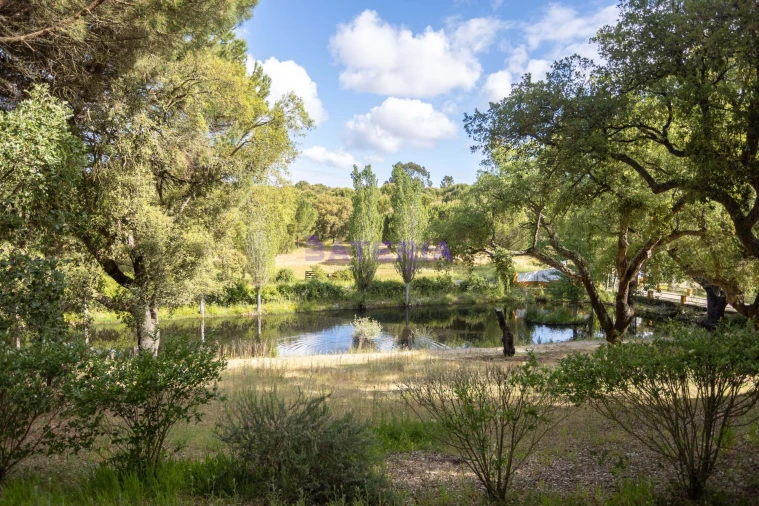Quinta T8 para Venda em Santo Estêvão Foto 47