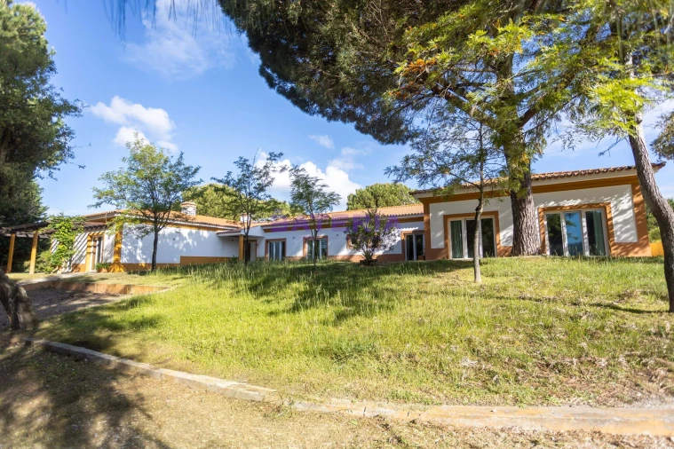 Quinta T8 para Venda em Santo Estêvão Foto 23